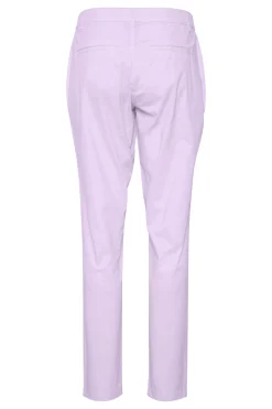 PhilaSZ Hose